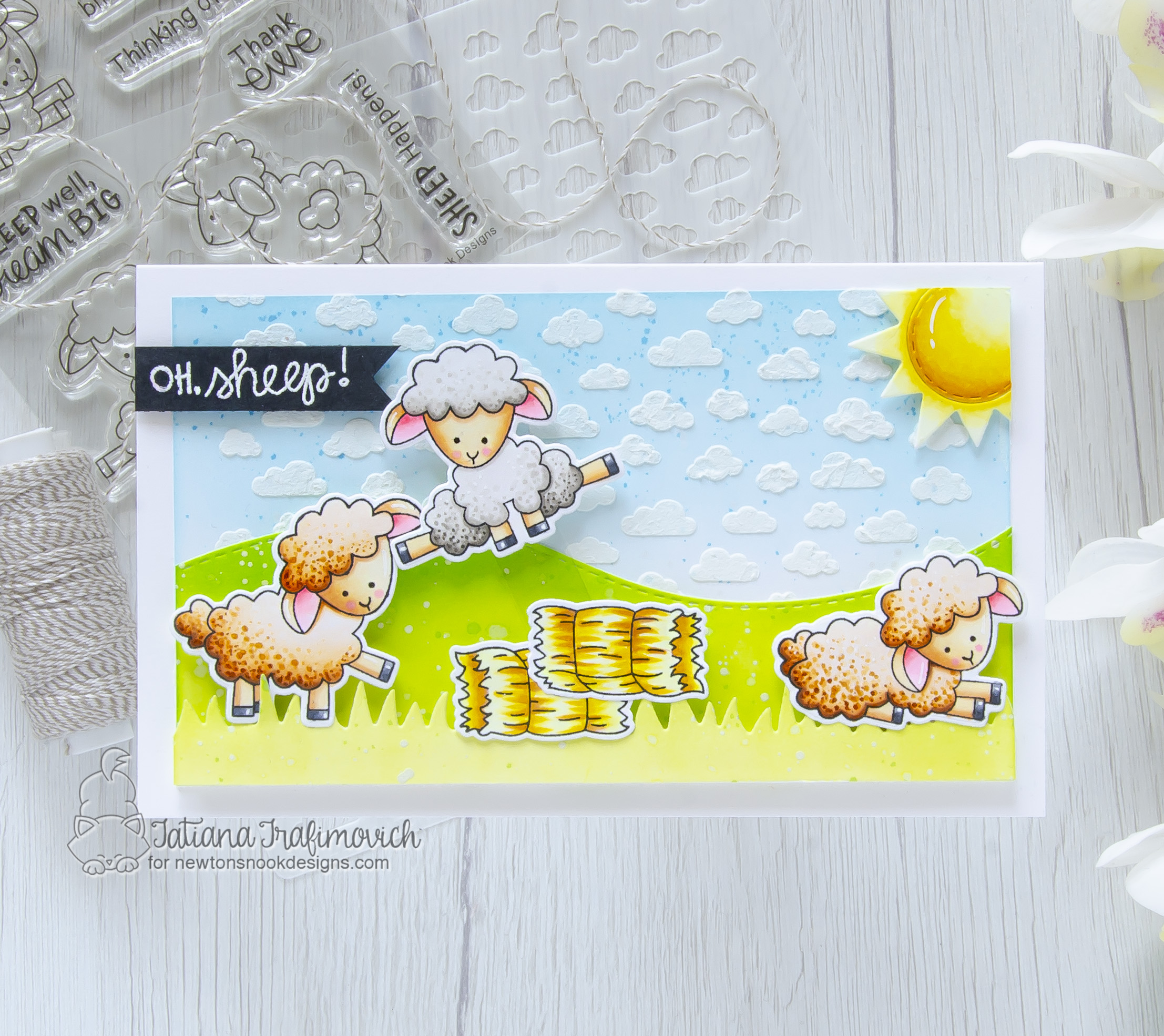 Oh, Sheep!!! #handmade card by Tatiana Trafimovich #tatianacraftandart - Baa stamp set by Newton's Nook Designs #newtonsnook