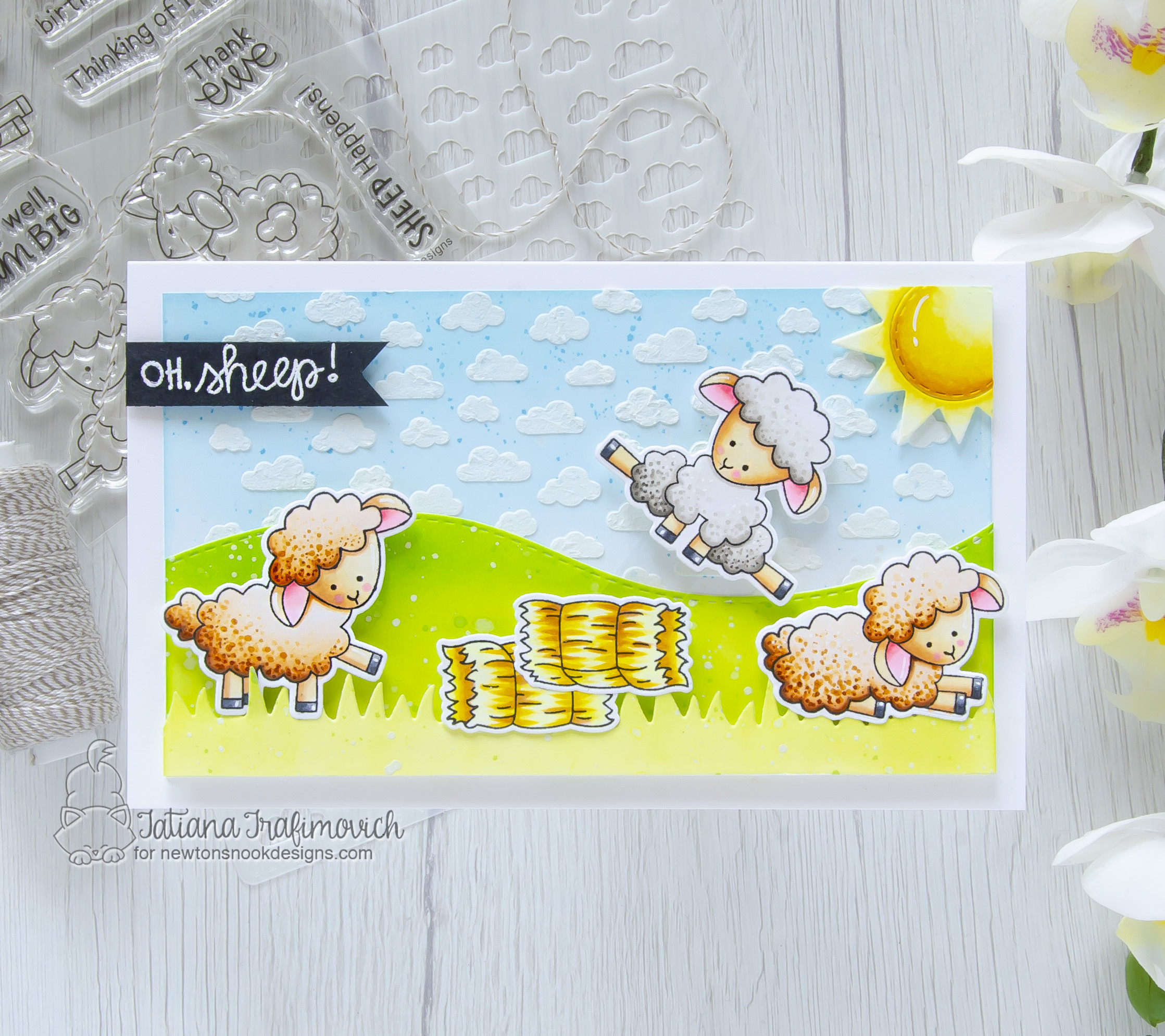 Oh, Sheep!!! #handmade card by Tatiana Trafimovich #tatianacraftandart - Baa stamp set by Newton's Nook Designs #newtonsnook