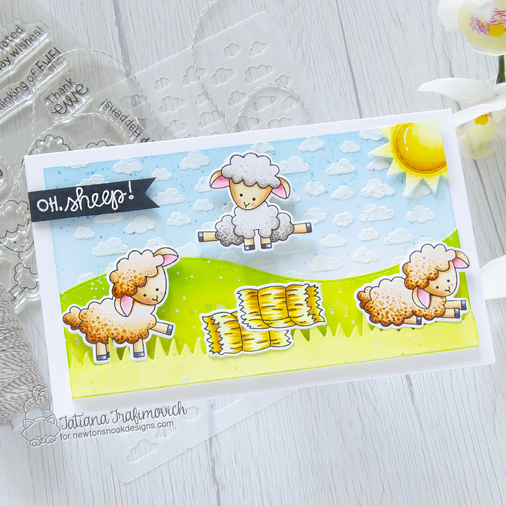 Oh, Sheep!!! #handmade card by Tatiana Trafimovich #tatianacraftandart - Baa stamp set by Newton's Nook Designs #newtonsnook