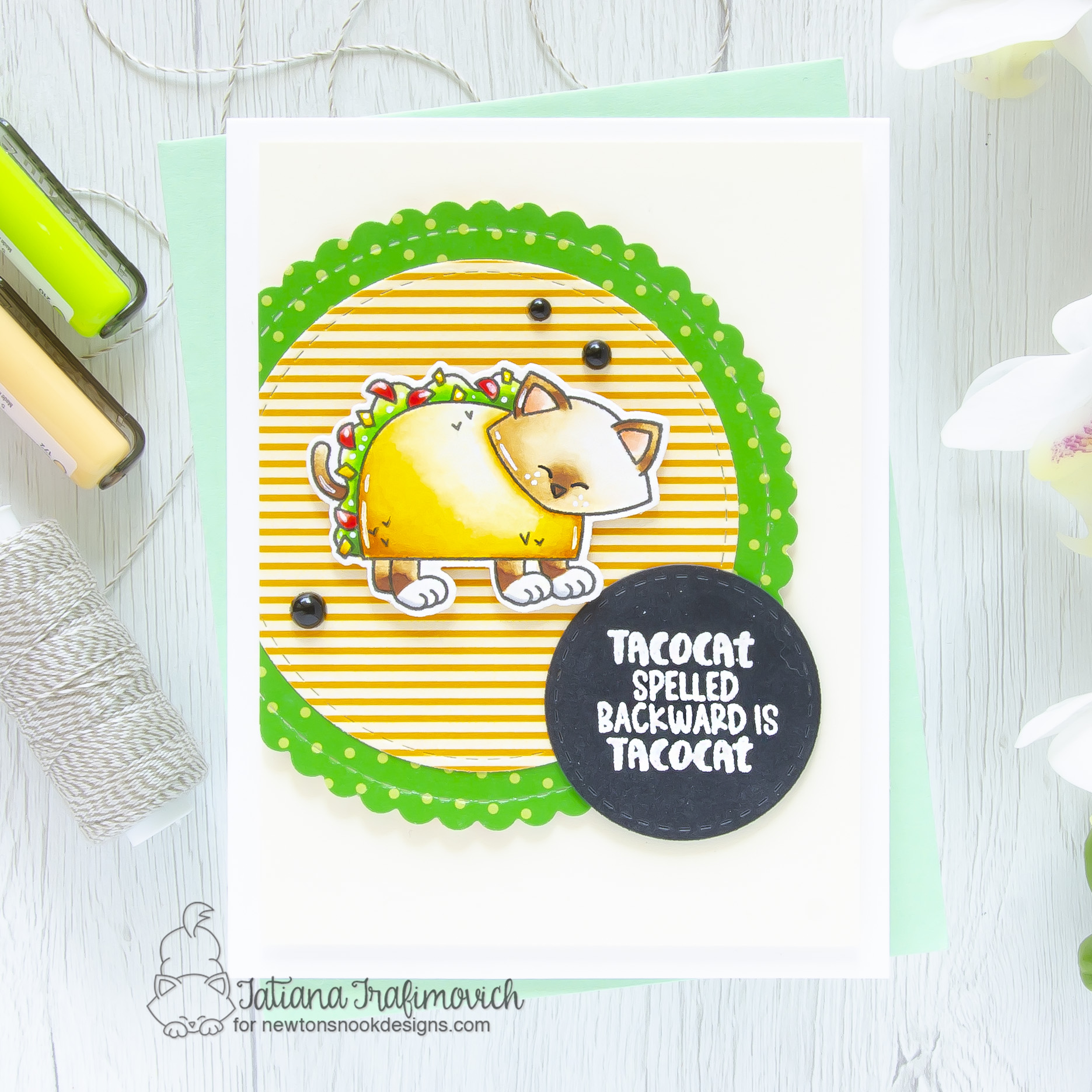 Tacocat #handmade card by Tatiana Trafimovich #tatianacraftandart - Newton Loves Tacos stamp set by Newton's Nook Designs #newtonsnook