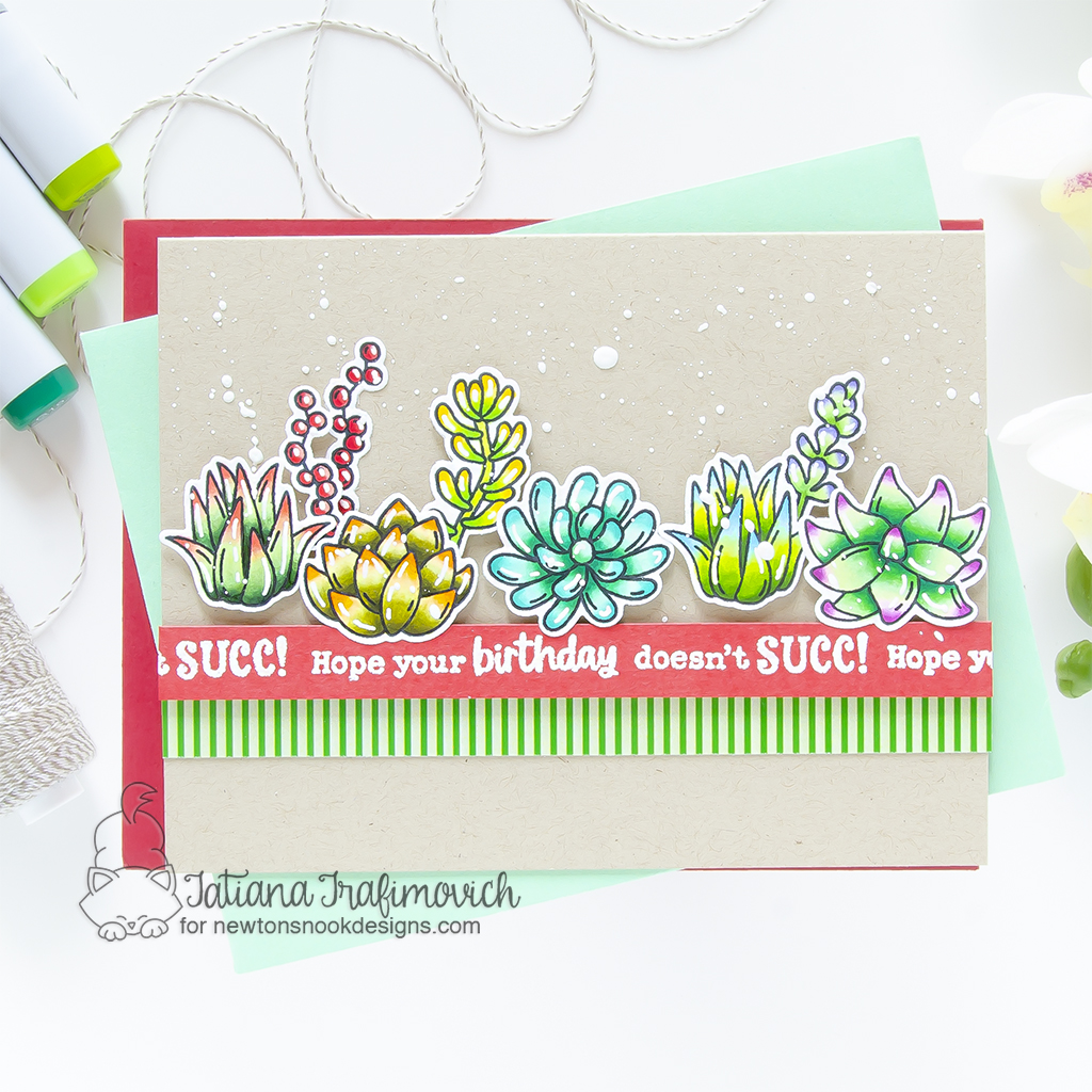 Hope Your Birthday Doesn't SUCC! #handmade card by Tatiana Trafimovich #tatianagraphicdesign #tatianacraftandart - Succulent Garden stamp set by Newton's Nook Designs #newtonsnook