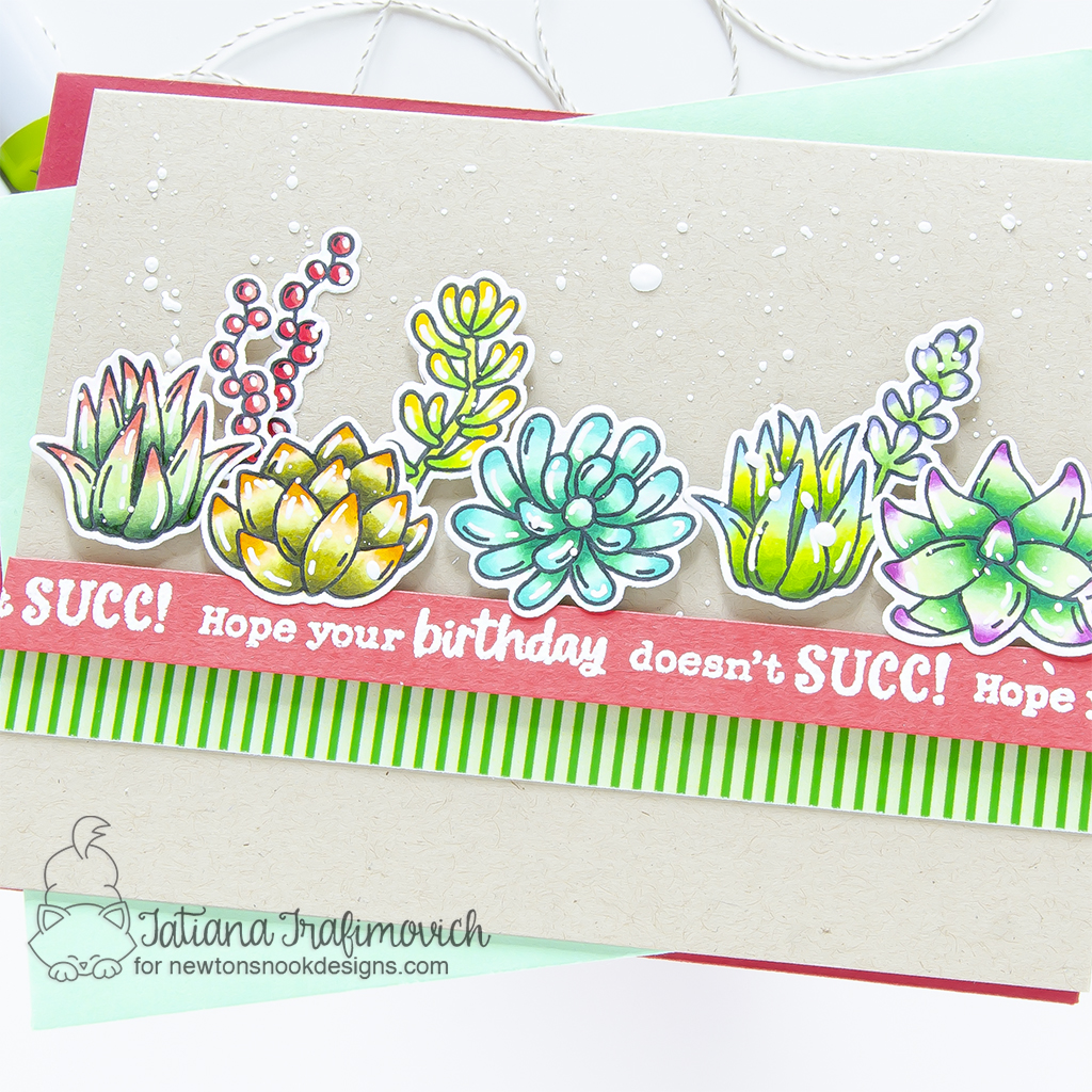 Hope Your Birthday Doesn't SUCC! #handmade card by Tatiana Trafimovich #tatianagraphicdesign #tatianacraftandart - Succulent Garden stamp set by Newton's Nook Designs #newtonsnook